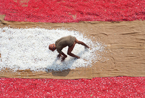 Figure 4.2 Bangladesh. Thousands of poor men and women in -Bangladesh collect and recycle plastic to earn their living. The plastic pieces are then dried and sold to manufacturers.