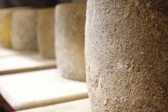 I november deltar Thorbjørnrud Hotell på Oste-VM i Bergen og skal være med på å vise fram bredden i norsk ost.