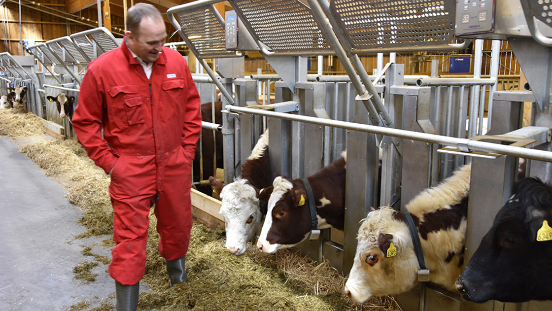 Sidan 2014 har det vore eit trendskifte der Vestlandet og Trøndelag har auka sin del av det grasbaserte husdyrhaldet (ku og sau).