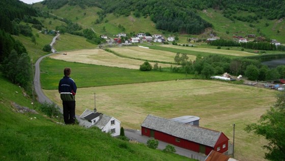 Bynært jordbrukslandskap i Mellingen i Åsane bydel, Bergen kommune. 