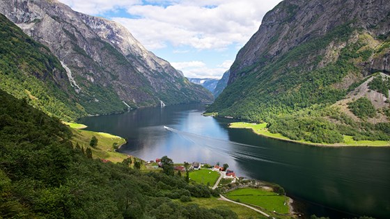 Næryøyfjorden. Sogn og Fjordane. 