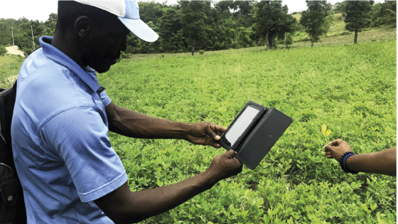 Figur 5.8 En småbonde kan via sin smarttelefon benytte appen fra norsk Farmforce, en tjeneste som knytter småbønder til større verdikjeder og gjør prosessen med sporing, kvalitetssikring, sertifisering og oppgjør vesentlig enklere.
