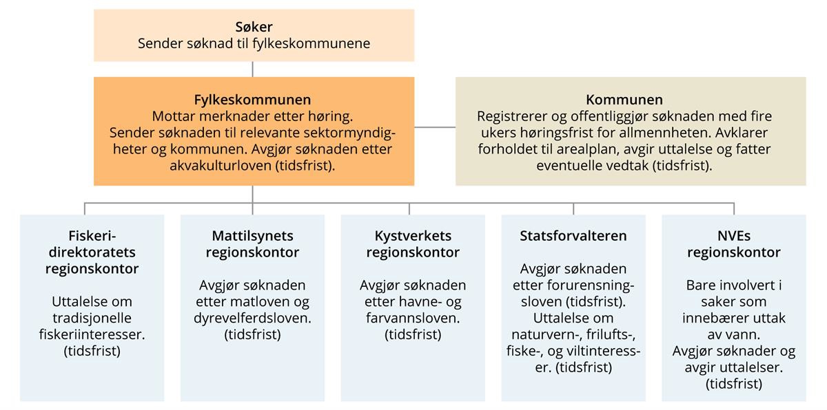 Figur som viser de ulike stadiene i søknadsprosessen for drift av akvakultur.