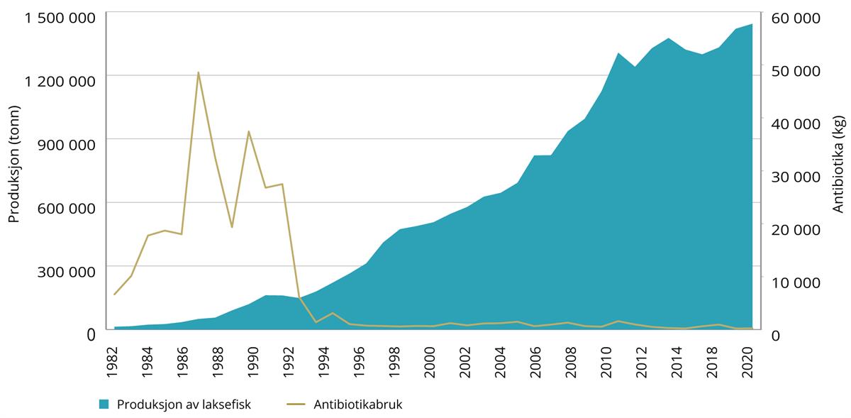 Graf som illustrerer antibiotikabruk i oppdrettsnæringen fra 1982 frem til 2020 målt i kg, sett opp mot produksjon av fisk, målt i tonn.