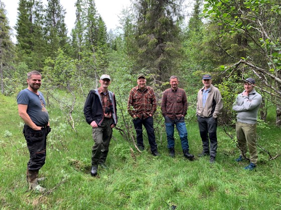 Befaring i skogplanarbeidet. 