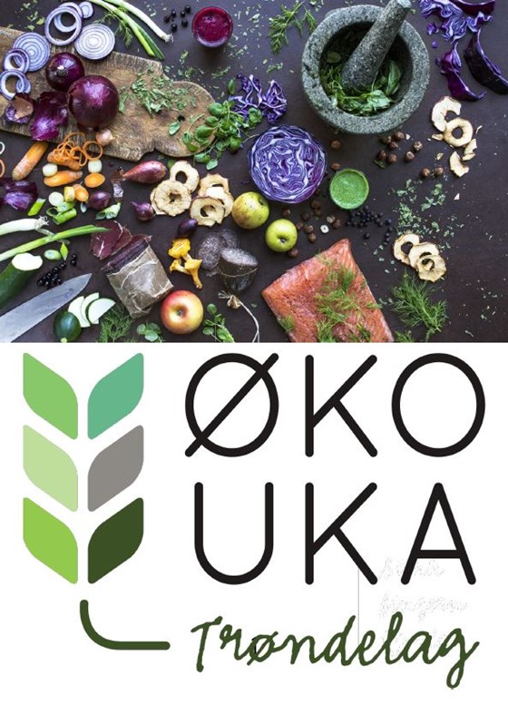 Logo Økouka.