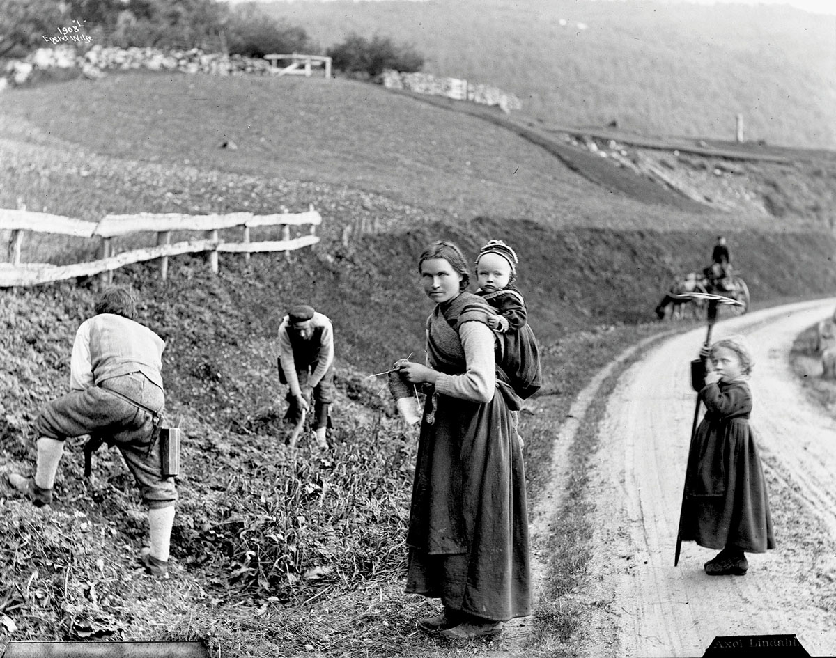Norske bønder på 1900-talet