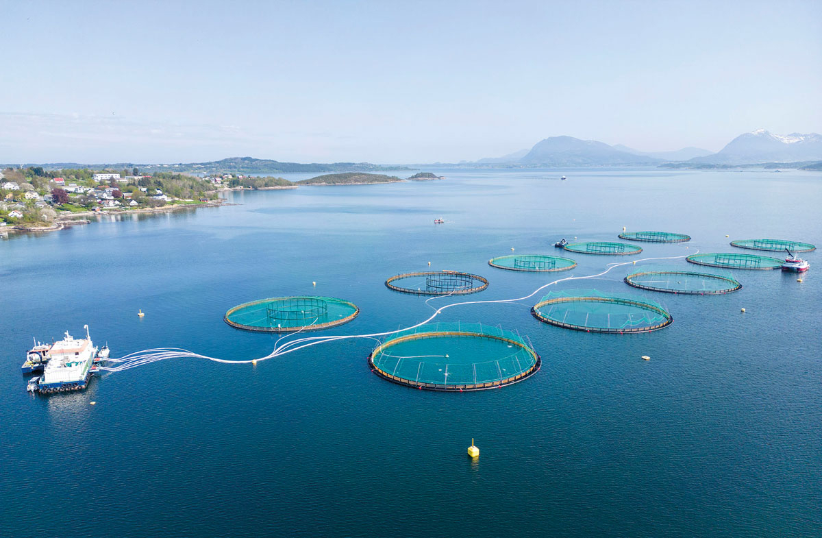 Lakseoppdrettsanlegg