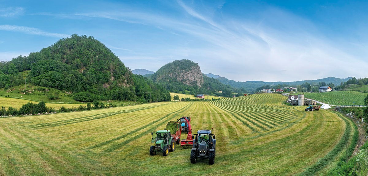 Traktorer sanker gras