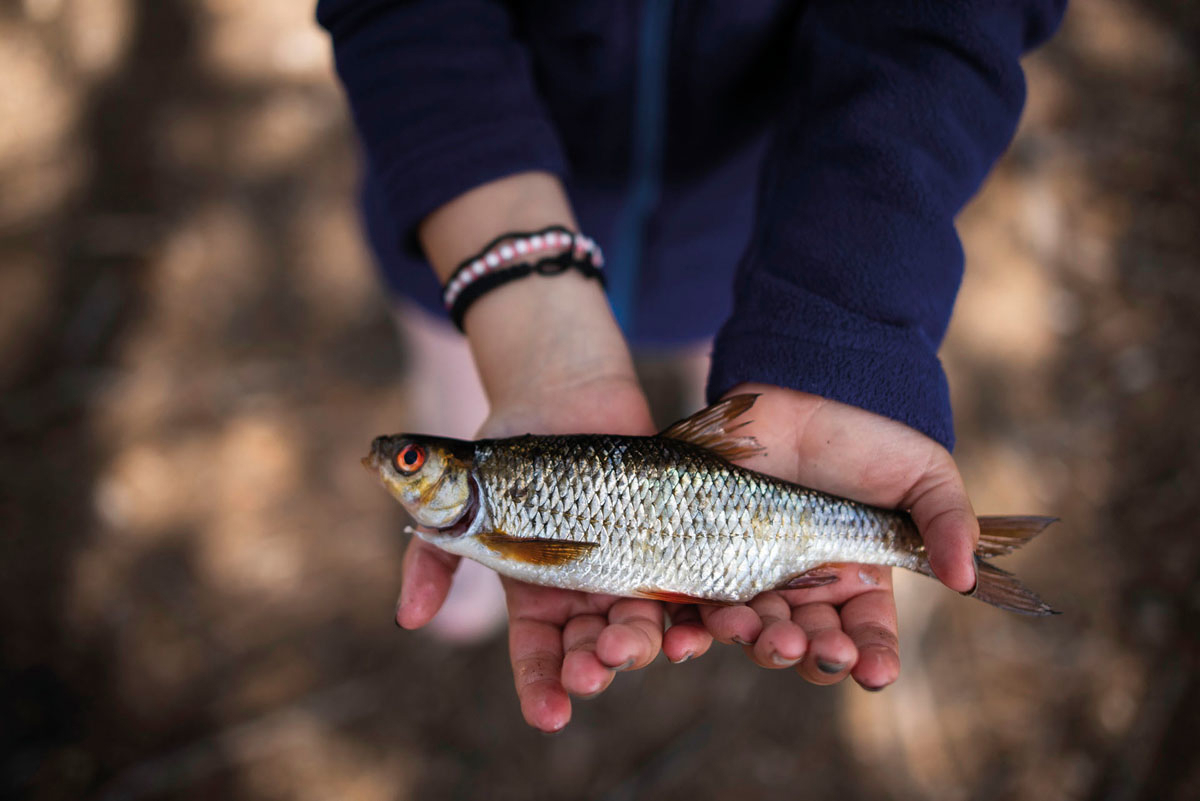 Person holder en fisk