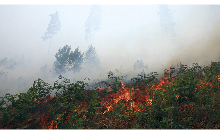 Figure 6.4 From a major forest fire in Froland, Aust-Agder county