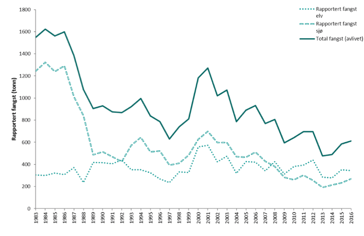 Figur 1.3 Rapportert fangst (tonn) av laks i Noreg i perioden 1983 – 2016 (rømt oppdrettslaks er inkludert). Laks som er sett ut att er ikkje inkludert i totalen då desse kan bli fanga fleire gonger. Laks som er fanga med stang og handsnøre i sjøen blir ikkje ...