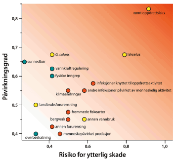 Figur 1.4 Dei viktigaste trusselfaktorane for dei norske laksebestandane, plassert i eit påverknads- og risikodiagram. Bakgrunnsfargen illustrerer alvorsgrad (mørk farge mest alvorleg). Fargane på punkta symboliserer god kunnskap og lite uvisse om utvikling (g...
