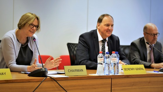 Ambassadør Oda Helen Sletnes ledet møtet i EØS-komiteen fredag 6. juli 2018