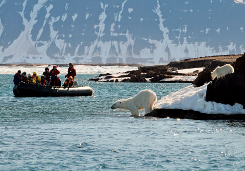 Figur 9.2 Woodfjorden. Et tilfeldig møte mellom mennesker og
 isbjørn.
