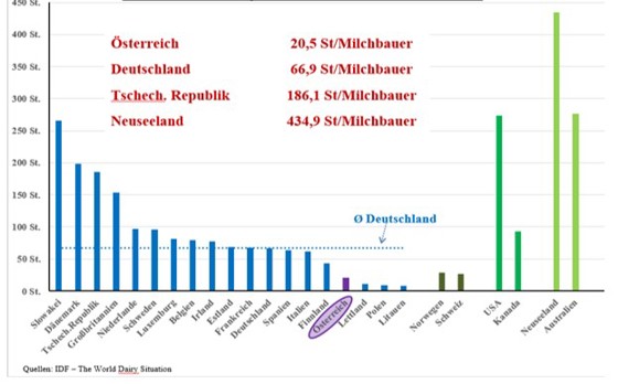 Gjennomsnittlig størrelse på meieribruk i EU og enkelte andre land i 2019.