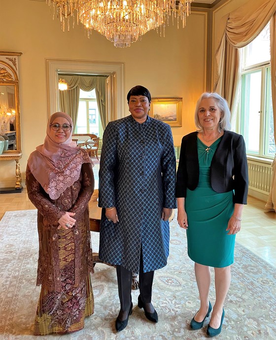 Bilde av tre nye ambassadører stående pyntet med nasjonaldrakt og formelle klær