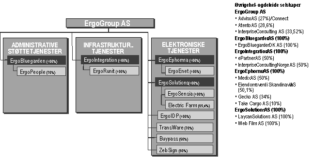 Figur 2.2 ErgoGroups konsernstruktur med underliggende datterselskaper per 31.12.02