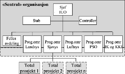 Figur 6.5 Organisering av IUO
