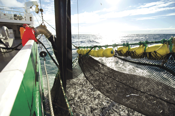 Figur 3.9  Makrellfiske
