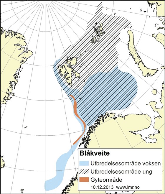 Figur 4.15 Utbreiingsområde og gyteområde for nordaust-arktisk blåkveite
