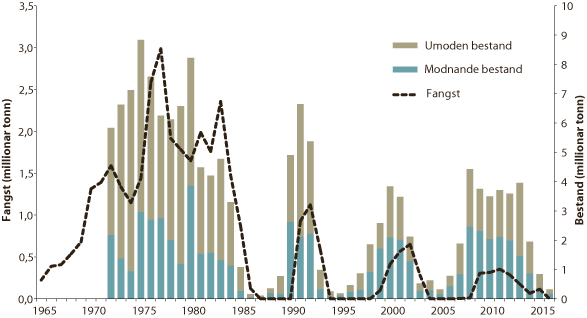 Figur 4.21 Utviklinga i bestand og fangst av lodde i barentshavet