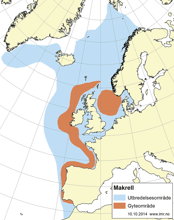 Figur 4.29 Utbreiingsområde og gyteområde for nordaust-atlantisk makrell
