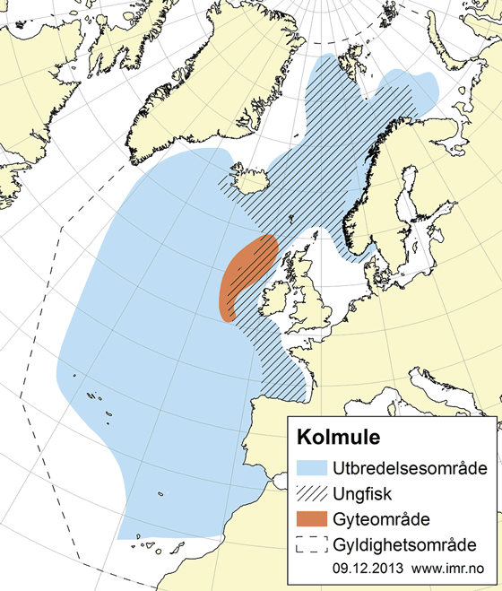 Figur 4.32 Utbreiingsområde og gyteområde for nordaust-atlantisk kolmule
