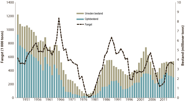 Figur 4.39 Utviklinga i bestand og fangst av nordsjøsild
