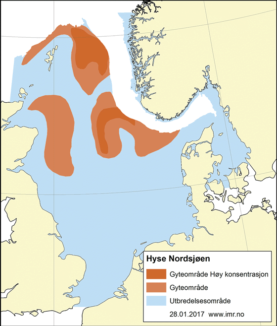 Figur 4.47 Utbreiingsområde og gyteområde for hyse i Nordsjøen, Skagerrak og vest av Skottland
