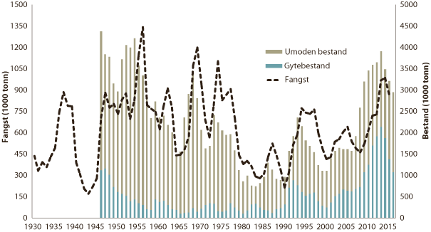 Figur 4.7 Utviklinga i bestand og fangst av nordaust-arktisk torsk 
