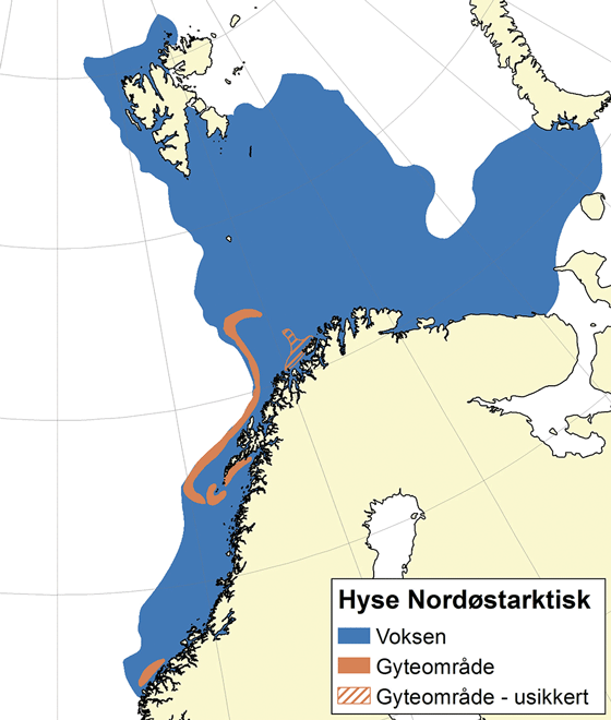 Figur 4.9 Utbreiingsområde og gyteområde for nordaust-arktisk hyse
