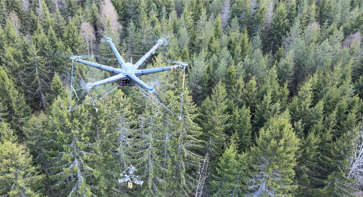Forest thinning operation using a drone with attached cutting device