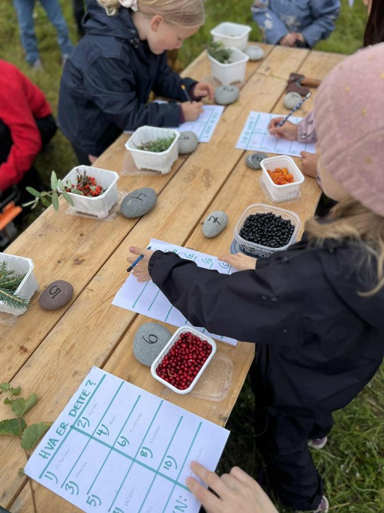 Barnas skogdag i Lakselv
