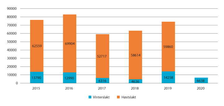 Figur 4.6 Antall slakt til slakteri 2015 – 2020 (tall per 24. mars 2020)
