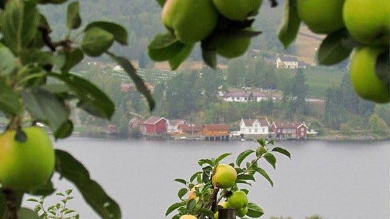 Fruktbygda SA, Gvarv i Telemark mottok Nasjonal kulturlandskapspris i 2015.