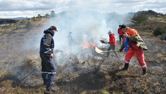 Lyngbrenning i Nordhordland