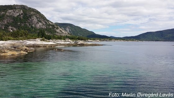 Frå 2020 kan bøndene i Vindafjord ved Skjoldafjorden få regionalt miljøtilskot til miljøavtalar.