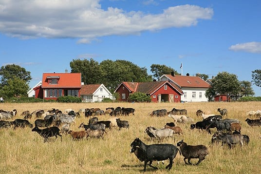 Kulturlandskap: Stråholmen i Kragerø kommune i Telemark. Foto: Oskar Puschmann.