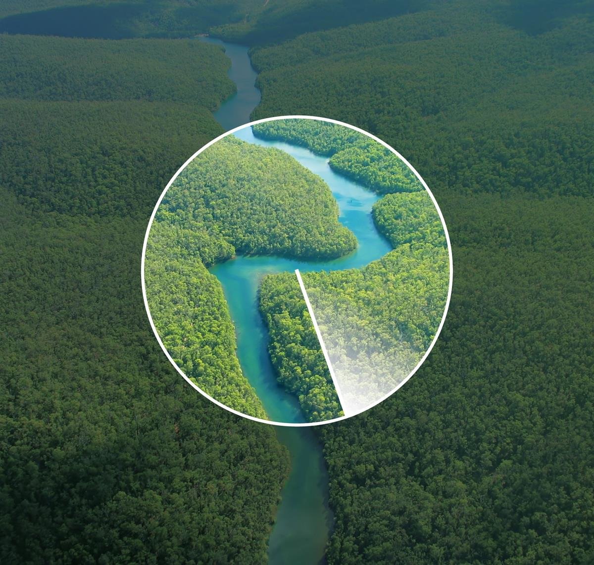 Regnskogen Amazonas sett ovenfra. En elv slynger seg gjennom et tett, grønt skoglandskap.