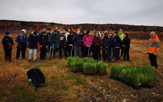 8. klassinger i Vadsø planter skog.