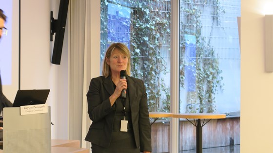 Arbeids - og sosialråd ved Norges Delegasjon til EU, Mona Næss, ledet seminaret. Foto: Tord Lauvland Bjørnevik