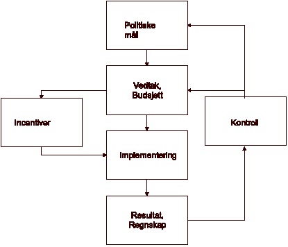 Figur 4.1 En modell for statlig økonomistyring