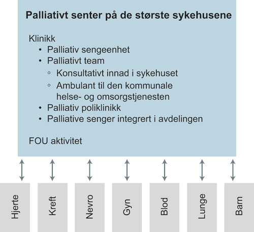 Figur 9.5 Organisering av palliasjon på sykehus (alternativ 1)
