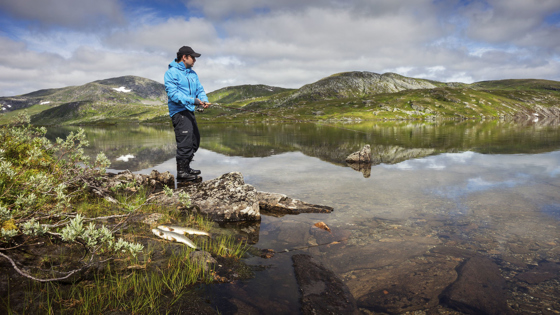 Fiske ved Børgefjell - Henrikvatnet.