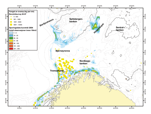 Figur 7.3 Skadeomfanget og den økologiske effekten av bunntråling i svampområder er lite undersøkt. Sporingsdata fra 2004 indikerer imidlertid at fisket i stor grad går utenom de områdene hvor det er fangstet svamp i bunntrålsundersøkelsene i perioden 1982–199...