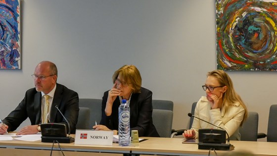 Norges ambassadør til EU, Oda Helen Sletnes, under møtet i EØS-komiteen. 