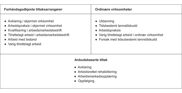 Figur 5.1 Oversikt over arbeidsrettede tiltak. Tiltak fordelt på forhåndsgodkjente leverandører, ordinære virksomheter og anbud etter regelverket for offentlige anskaffelser