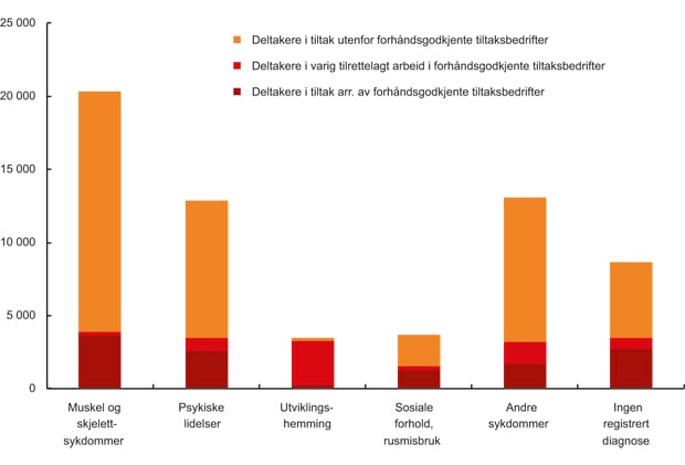 Figur 6.4 Tiltaksdeltakere med nedsatt arbeidsevne etter diagnose, fordelt etter deltakelse i forhåndsgodkjente tiltaksbedrifter og andre tiltaksbedrifter. Tall fra 2004