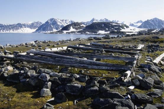 Rester av Arnold Pikes hus satt opp i 1888, Virgohamna. Sommerlig landskap med fjord og snødekte fjelltopper i bakgrunnen. Steiner og rester av fundament til trebebyggelse i forgrunnen. Foto: Harald Faste Aas / NP